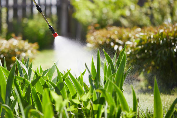 24/7 Emergency Fumigation Services experts in East Hills, NY